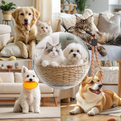 3D Crystal Ball Video Player Audio Video Display Electronic Ball Memory Ball Birthday Gift Souvenir For Family And Friends